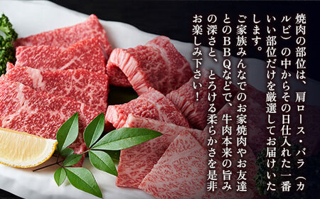 訳あり！【A4からA5】博多和牛焼肉切り落とし(肩ロース・バラ）500ｇ DX039