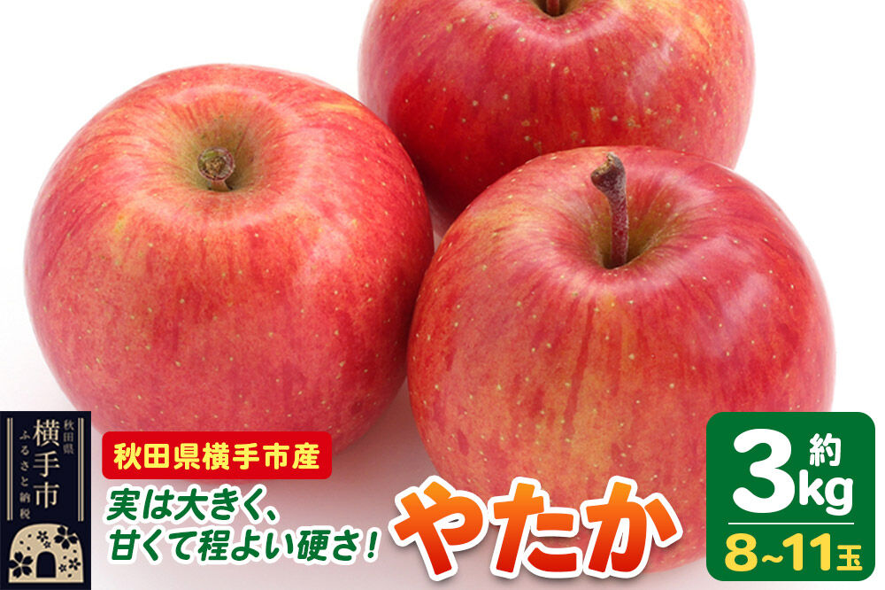 【先行受付 9月下旬より発送】りんご やたか 約3kg（8～11玉） [先行予約 りんご やたか 林檎 アップル 赤 果実 果物 フルーツ 美味 おいしい]