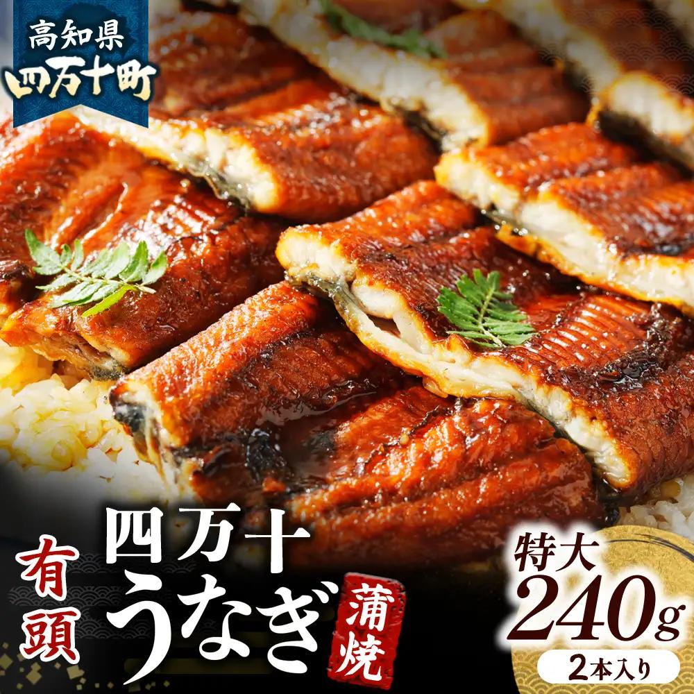 うなぎ蒲焼 【有頭】特大240g（2本入り） 冷凍 たれ付き 蒲焼 国産 鰻 ウナギ うなぎ 蒲焼き 肉厚 土用の丑の日 高知鰻 本格うなぎ 山椒付き 四万十うなぎ Esu-205