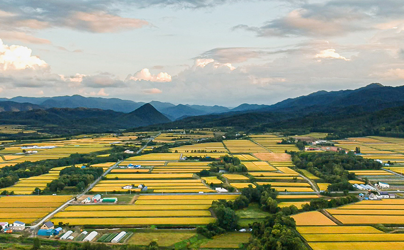 米 令和7年 北海道米 ゆめぴりか 300g×1袋 ななつぼし 300g×2袋 セット 詰め合わせ 新米 白米 精米 お米 おこめ こめ ご飯 ごはん 食べ比べセット 食べ比べ 単一原料米 ブランド米
