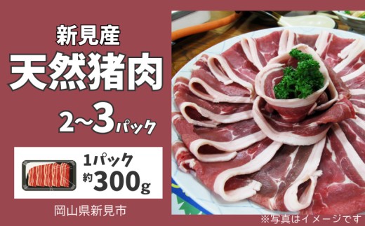 
                  容量選べる！新見産 天然猪肉 極上詰め合わせ スライス肉 【12月上旬～8月下旬頃発送】
                