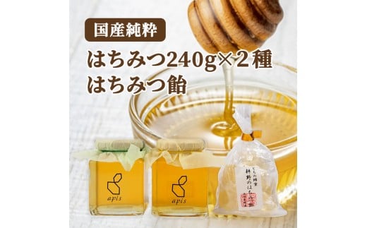 耕野のはちみつ 240g×2本セット 栃のはちみつ飴付き｜耕野のはちみつ はちみつ ハチミツ とち 里山の木々 国産 240g 2本 食べ比べ2種 食べ比べ セット はちみつ飴 飴 あめ アメ ふるさと納税 お取り寄せ 石塚養蜂園 宮城県 丸森町 丸森【2110101】