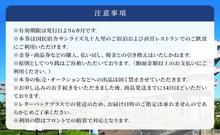 施設利用券 関東 千葉 国民宿舎 サンライズ九十九里 3000円分 宿泊券 お食事券 宿泊 旅行 旅行券 利用券 食事券 宿泊補助券 トラベル クーポン ホテル券 ギフト券 ギフト チケット ホテル 