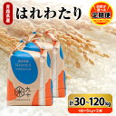 【ふるさと納税】定期便 米 はれわたり 令和6年産 【 回数が選べる : 3回 30kg / 6回 60kg / 9回 90kg / 12回 120kg 】 青森県産 精米 白米 こめ コメ ごはん ライス ブランド米 贈答 ギフト 贈り物 国産 青森県 五所川原市 PEBORA