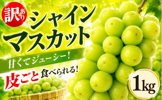 【 先行予約 】 訳あり シャインマスカット 約 1kg ＜出荷時期：2026年8月上旬～9月下旬頃＞ ぶどう 葡萄 マスカット フルーツ 果物 ゼリー ジュース アイス デザート スイーツ ケーキ グルメ 人気 おすすめ 甘い 送料無料 三木ぶどう園 徳島県 阿波市