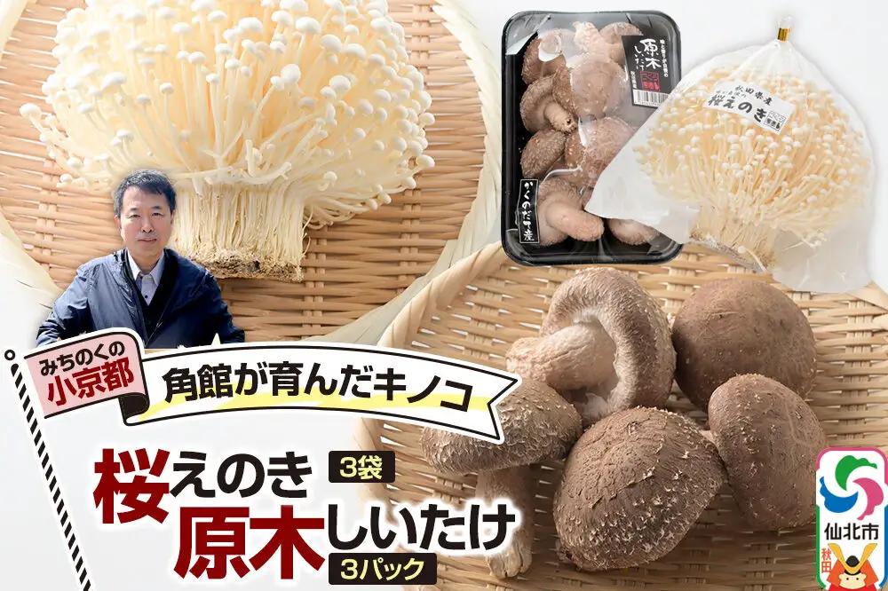 みちのくの小京都・角館が育んだ「2種セット」（桜えのき約300g×3袋、原木しいたけ×3パック）