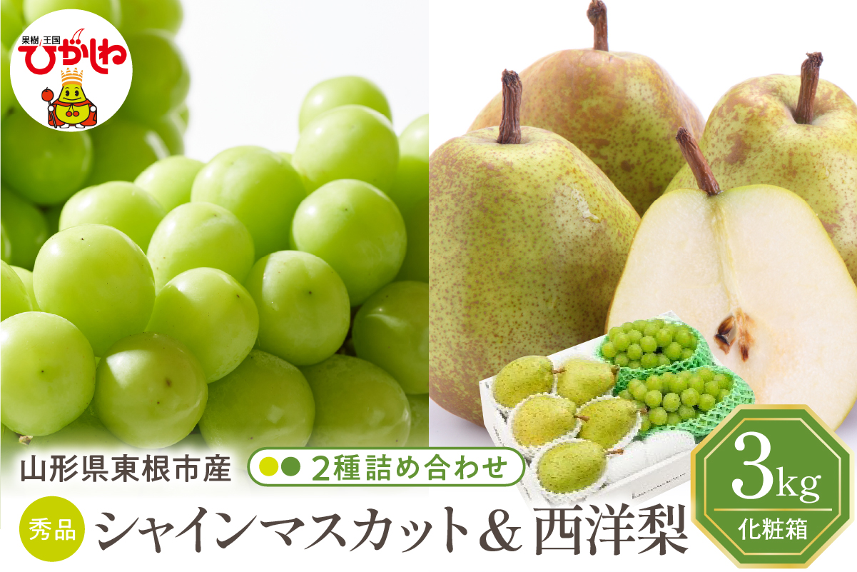 【2026年】東根市産 シャインマスカット＆西洋梨 詰め合わせ 3kg 秀品 化粧箱入り 山形県 東根市 hi027-242