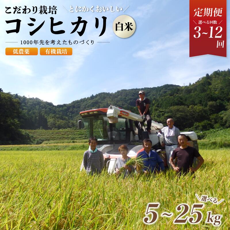 【ふるさと納税】【令和8年度産 新米】【定期便 全3・6・12回 毎月】有機栽培コシヒカリ 白米 選べる1回5kg～25kg 京都府綾部市産 農家直送 真空パック［BSAT041］