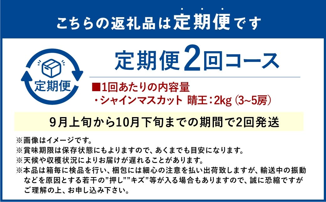 【2回定期便】シャインマスカット 晴王 約2kg（3～5房） 