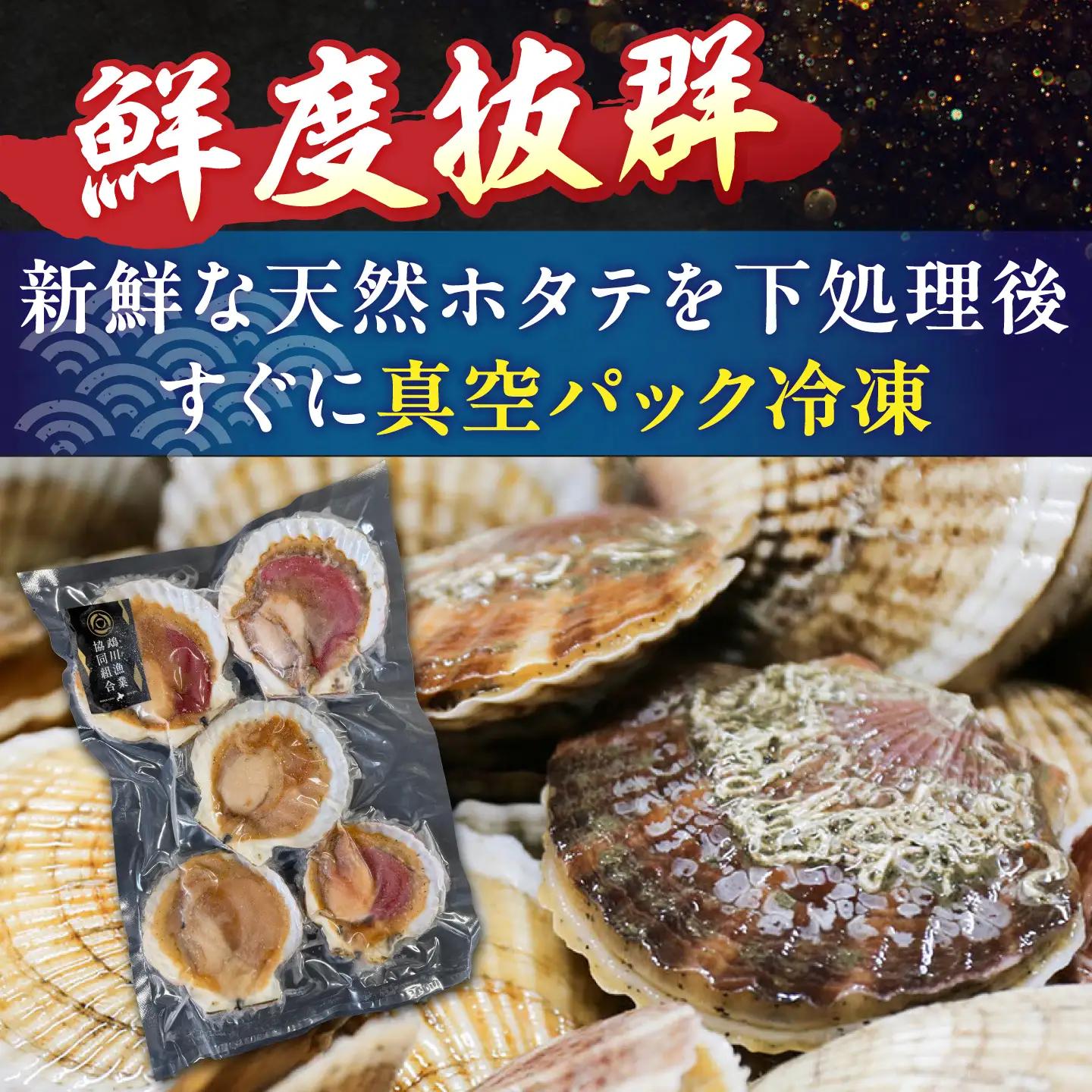 【数量限定】半殻つき 冷凍ホタテ 2袋【鵡川漁業協同組合】帆立 ほたて 北海道 [AXAL001]