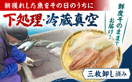 【全3回定期便】金澤仕立て 鮮魚ボックス 旬の魚3種 鮮魚 簡単 旬 海鮮 真空 冷蔵 五島市/金沢鮮魚[PEP012]