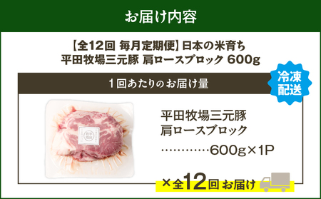 【 全12回 毎月 定期便 】 日本 の 米育ち 平田牧場 三元豚 肩ロース ブロック 600g T036-T10-03 定期 肉 お肉 にく 豚 豚肉 ブタ ぶた 生姜焼き トマト煮 黒豚 冷凍 バ