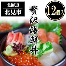 【北海道北見市加工】贅沢海鮮丼12個入りセット