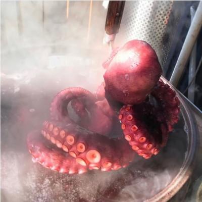 ふるさと納税 鹿嶋市 茨城県 鹿島だこ 700g〜800g |  | 03