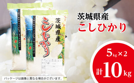 No.481 【坂東市産】【令和7年産米】茨城コシヒカリ5kg×2 ／ こしひかり 令和7年 新米 米 お米 おこめこめ コメ 精米 白米 ご飯 国産米 10kg 10キロ 旨味 艶 こし 粘り 柔らかな食感 ガッツリ 弁当 おいしい お取り寄せ 産地直送 産直 坂東市産 茨城県産 茨城産 茨城県 特産品