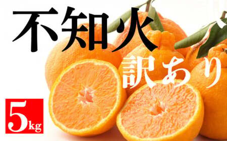 不知火 5kg 不知火 デコポン と同一品種