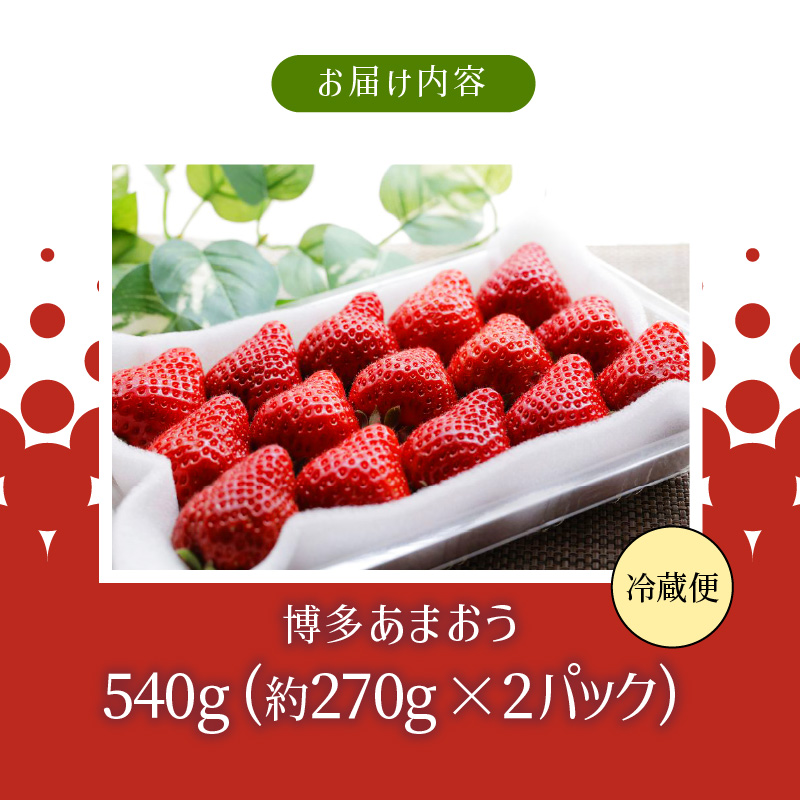 【2月下旬より順次発送】農家直送 朝採り新鮮いちご 【博多あまおう】(約270g)×2パック