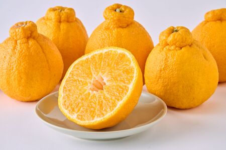  先行予約 不知火 果実の宝箱デコ柑不知火 約2.5kg 7玉〜12玉 2027年3月上旬から6月中旬順次発送予定 田辺農園