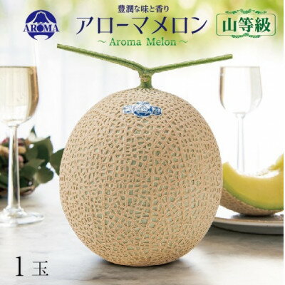【ふるさと納税】【通年出荷】アローマメロン(山等級) 1玉入【品格溢れる高級品】【配送不可地域：離島・北海道・沖縄県】【1170113】