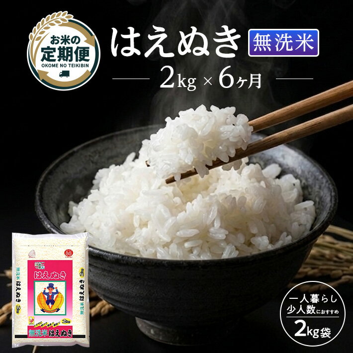 【ふるさと納税】≪6ヶ月定期便≫ 無洗米 はえぬき 2kg×6ヶ月連続 計12kg 山形県庄内産 毎月下旬にお届け 東北 山形県 遊佐町 庄内地方 庄内平野 庄内米 精米 白米 米 お米 ブランド米 ごはん ご飯 連続定期便 6回連続 小分け