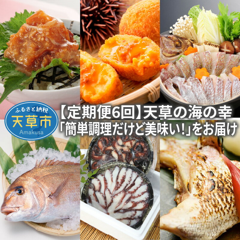 【ふるさと納税】定期便 6回 漁師の沖めし ウニコロッケ たこわさび 鯛めし たこめし 真鯛 お刺身 やわらか 地だこ 真鯛 塩カマ お手軽 簡単調理 時短 海の幸 魚介類 グルメ お取り寄せ お取り寄せグルメ 九州 熊本県 天草市 送料無料