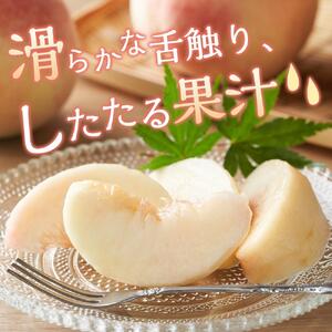 桃 2026年 清水 白桃 5～6玉入 約1.5kg 岡山市一宮地区産 もも モモ フルーツ 果物 ギフト