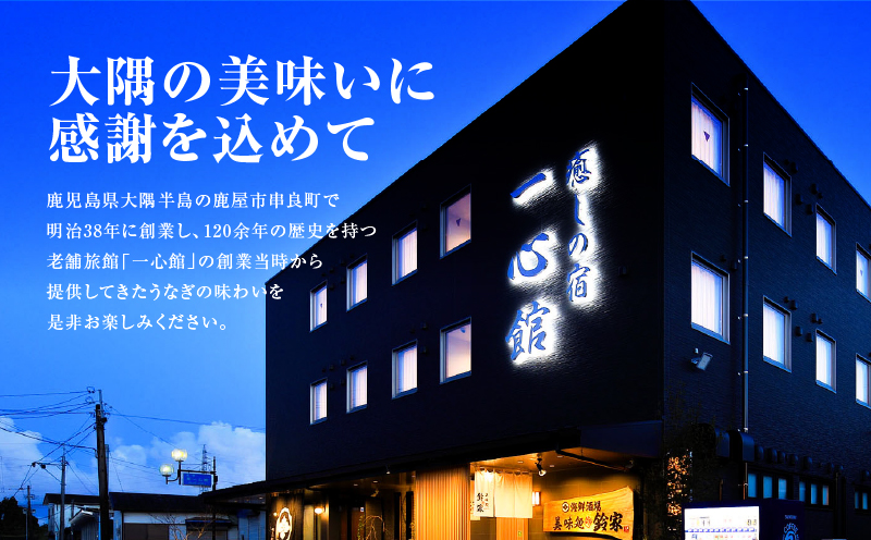 大隅産うなぎのかば焼き 3尾　KN174-001-03