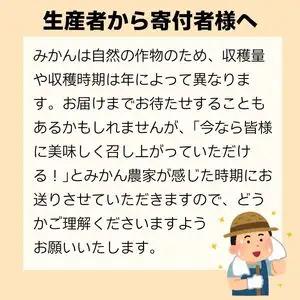 【不知火】3kg みかん職人武田屋直送不知火 訳あり