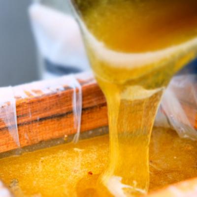 ふるさと納税 小郡市 はちみつ 国産 天然 純はちみつ 600g×2本 さくら&れんげ[No5354-0293] |  | 01