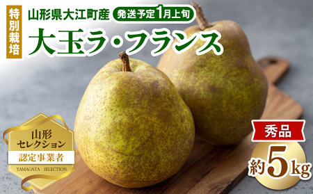 ≪先行受付≫ 特別栽培 大玉 ラ・フランス 約5kg 秀品4L～3L 【2026年1月より順次発送予定】 025-023