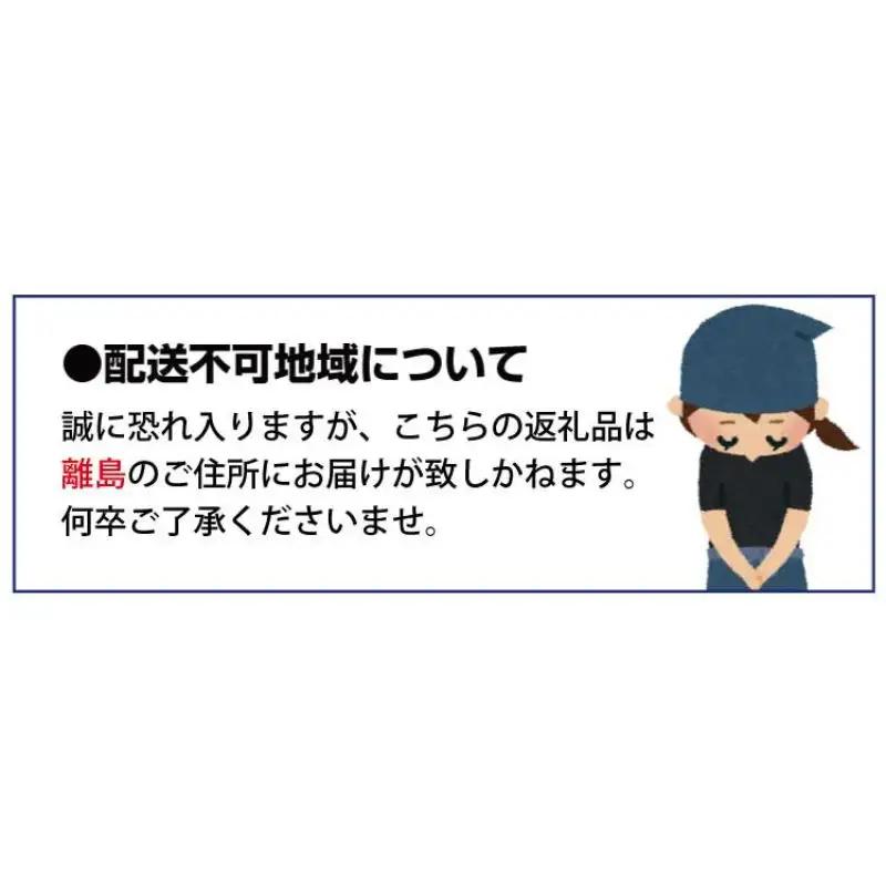 【先行予約】まりひめ いちご 12粒～15粒入り×4パック（1kg）2027年1月中旬?3月下旬頃に順次発送予定（お届け日指定不可）/ いちご 苺 まりひめ 和歌山 フルーツ 果物 くだもの【kgr0