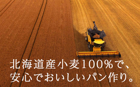 マンデーブランチ 10kg（2.5kg×4） 強力粉 小麦粉