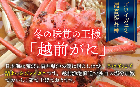 【先行予約】越前港より直送！ 越前がに 大 (約700g～900g) 1杯※発送前に在宅確認の電話連絡をいたします!【11月～12月発送予定】ズワイガニ ずわいがに ズワイ蟹 越前ガニ ボイル 刺身 