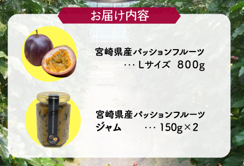 《2026年発送先行予約》【数量・期間限定】8年かけて誕生した《宮崎県産》極上パッションフルーツ＆極上パッションフルーツジャム フルーツ 果物 ギフト