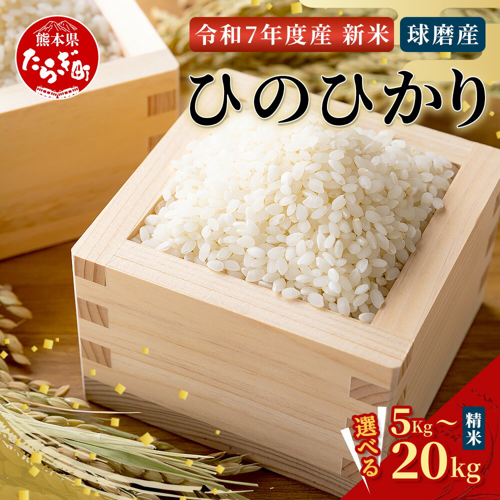 【ふるさと納税】令和7年産 新米 ひのひかり 5kg / 10kg / 20kg 新米 精米 白米 米 お米 ヒノヒカリ ご飯 九州チャンピオン 国産 九州産 熊本県 多良木町 送料無料