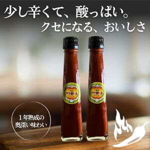 カラ酢っ子2本セット 古民家カフェ 鍵屋  調味料 辛味 唐辛子酢 辛酢 辛い調味料 熟成 調味料セット