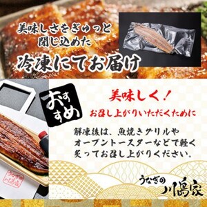 【冷凍1尾】岬町自慢の味　うなぎの川島家　国産うなぎ蒲焼　大サイズ(211g～225g)特製タレ付き【配送不可地域：離島】【1488339】