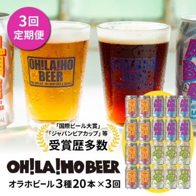 【3回定期便】オラホビール3種飲み比べ20本セット