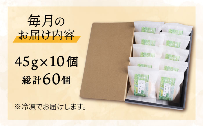 【全6回定期便】無添加チーズの櫻井チーズケーキ【10個入り】 糸島市 / 糸島手作り工房 爽風 [ATA009]