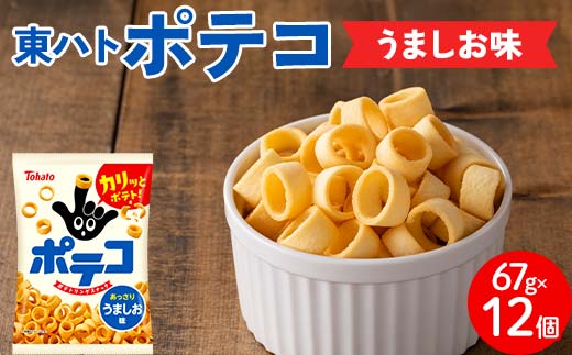 東ハト　ポテコ　うましお味　67g×12個 FAA-206