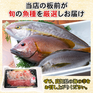 【３回定期便】ほんとにおいしい！室戸のお刺身　２～３種盛り合わせお楽しみセット（２～３人前）_冷凍 調理済み 時短 湯せん お弁当 個包装 惣菜 小分け 子供 簡単調理 お取り寄せ 人気 湯煎 お湯ぽ