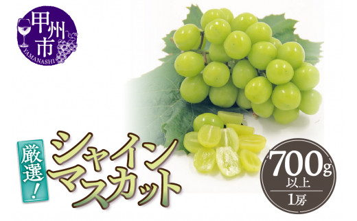 厳選！山梨県甲州市産 シャインマスカット 700g以上（1房）【2026年発送】（THR）A08-810 【シャインマスカット 葡萄 ぶどう ブドウ 令和8年発送 期間限定 山梨県産 甲州市 フルーツ 果物】