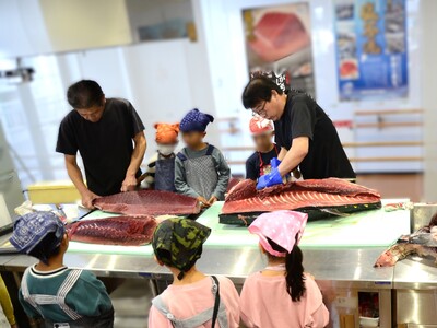塩竈産マグロ解体体験！丸ごと1本食べつくそう！ ｜ gt00001 塩竈市 塩竈