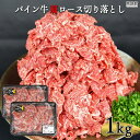 【ふるさと納税】＜パイン牛 肩ロース切り落とし 500g×2パック 計1kg＞※入金確認後、翌月末迄に順次出荷します。 宮崎県産黒毛和牛 牛肉 ブランド牛 株式会社ユウエス 宮崎県 特産品 高鍋町 【冷凍】