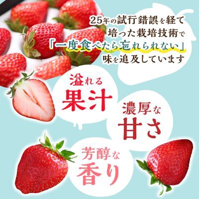 【2025年4月発送開始】岡山県美作市産　おいCベリー(約280g×2パック)【配送不可地域：離島・北海道・沖縄県】