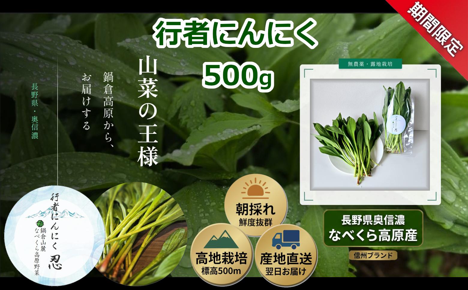 
                  【期間限定】行者にんにく 忍 500ｇ入り　1箱(70枚～75枚)《出荷時期：2026年5月上旬頃〜》株式会社ForestDoor｜長野県 飯山市 信州 新鮮 直送 山菜 ビタミン 健康  (Ce-012)
                