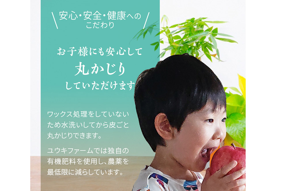 【25年12月発送】りんごギフト【サンふじ3個、りんごジュース1L×2本】化粧箱入