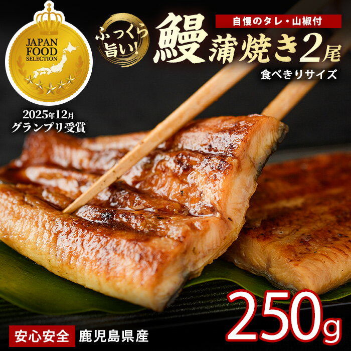 【ふるさと納税】【鹿児島県産】うなぎ蒲焼じっくり焼き約125g×2尾 化粧箱入り 鰻 ウナギ 蒲焼 国産 丑の日 うな重 無頭 ギフト プレゼント 贈り物 贈答 【大新】