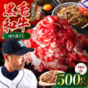 たかどや牧場産 黒毛和牛 信州牛 切り落とし 500g ( 250g × 2パック ) | 長野県 飯田市