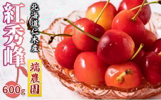 [先行受付] 北海道 仁木町産 さくらんぼ 南陽 600g（300g×2パック） 北海道知事賞受賞農園 端農園 サクランボ 果物 フルーツ チェリー 美味しい 最優秀賞 人気 [端農園]